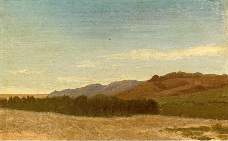 Albert Bierstadt The_Plains_Near_Fort_Laramie china oil painting image